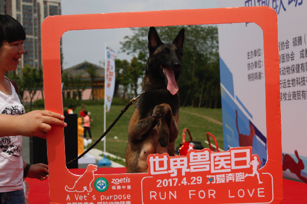 “世界兽医日” 四地千名兽医师携手为爱奔跑