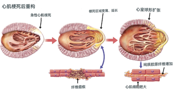 “心大”也是病