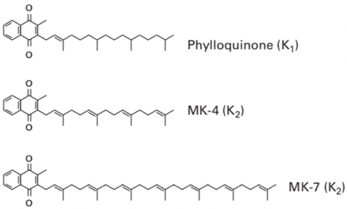 维生素K2 MK4：食品营养强化的下一个风口