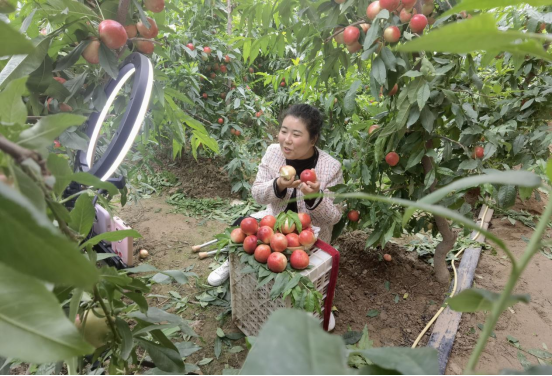 身残志坚 大荔姑娘马宁用奋斗谱写青春华章