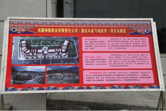 小县城蹦出了“神猴” 烟台援藏因地制宜发展民族产业