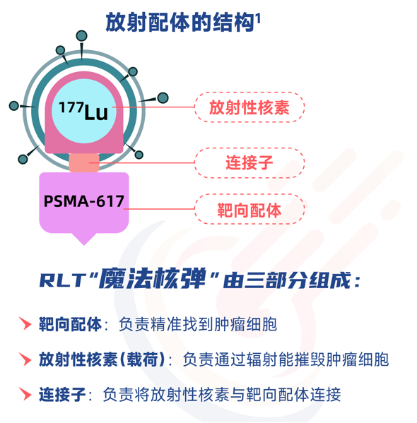 放射配体疗法引领癌症精准治疗新篇章