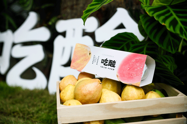 从肠道友好到情绪疗愈，定义健康新范式