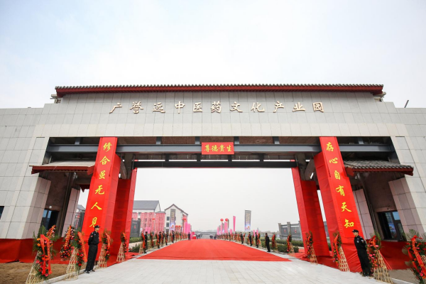 从太谷非遗看健康中国实践：当中医药文化邂逅时代新表达