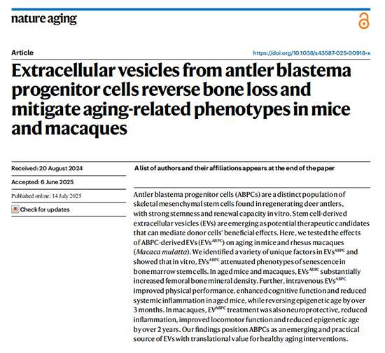 金融活水与科技匠心交融，解锁中医药产业升级新密码