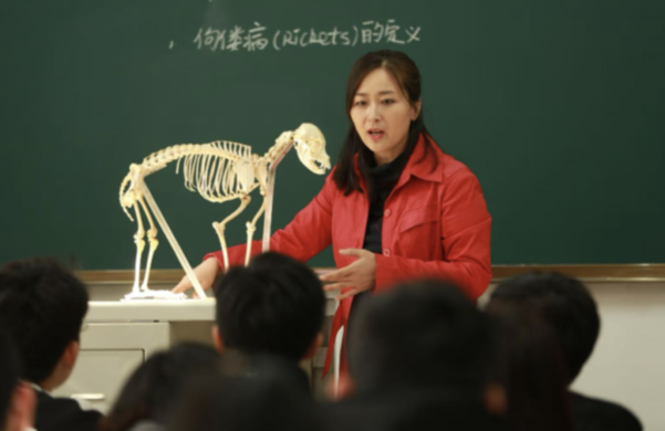 宠物家庭需树立科学消毒观