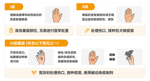 夏季犬伤进入高发期!专家提醒:规范处置“三步走”,缺一不可 图片2