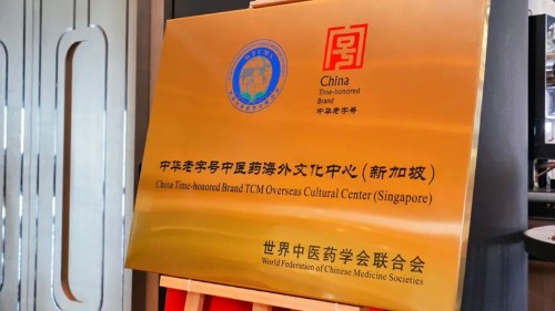 传承仲景文脉 探索中医药国际化传播新范式