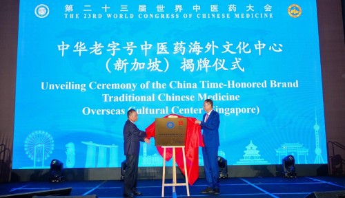 传承仲景文脉 探索中医药国际化传播新范式